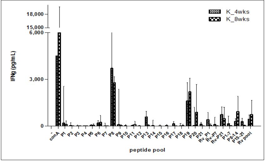 결핵균 K 균주에 감염된 마우스의 비장세포에서 PPE39 단백질의 overlapping peptide들에 대한 IFN- gamma 생성.