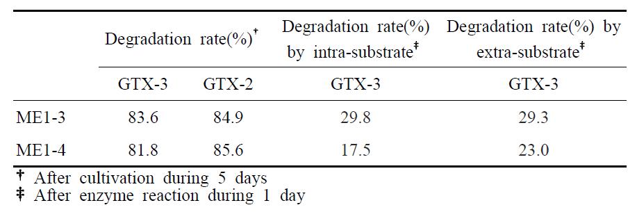 Degradation ratio(%) of GTX 2 and GTX 3 by isolated strains