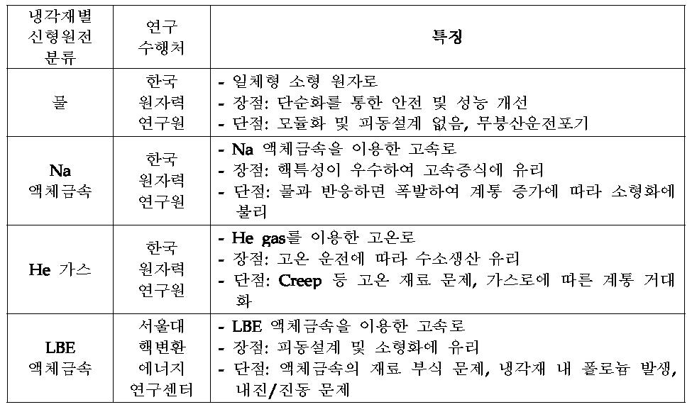 국내 신형 원전 연구 현황