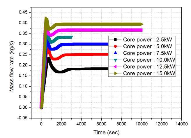 Core power에 따른 자연순환 유량 결과