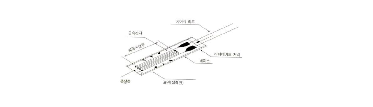 Strain gauge 소자 구성도