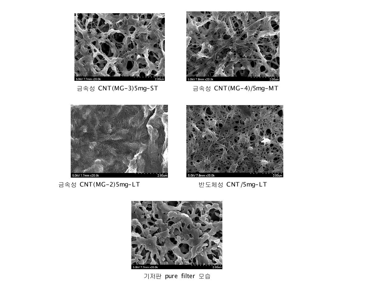 마이크로 필터에 형성된 금속성 및 반도체성 CNT film의 SEM사진