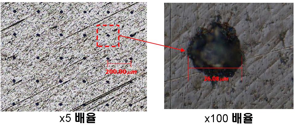 고배율 현미경을 이용한 시편 검사