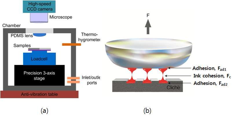 (a) 잉크의 점착력 측정 system, (b) 잉크 전이 시 발생하는 힘의 도해