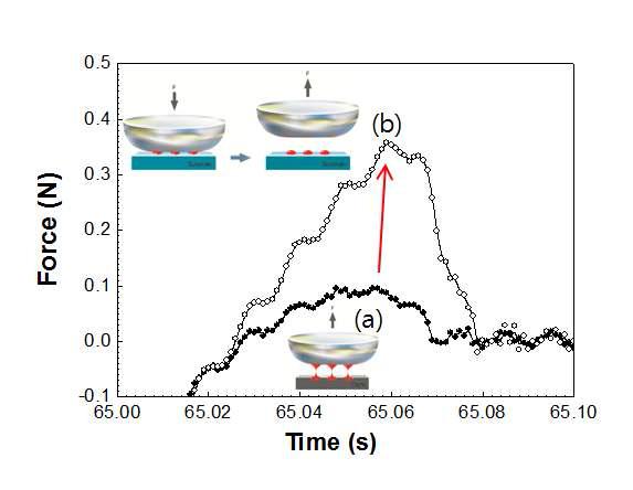 Ink cohesion curves (a) during ink off from cliché by PDMS and (b) during ink set on substrate immediately after ink off