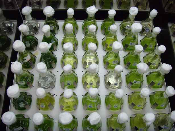 Application of wastewater for microalgae cultivation
