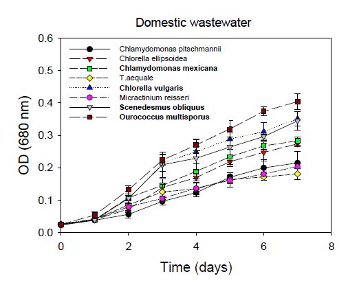 Growth curve of various microalgal species in municipal wastewater