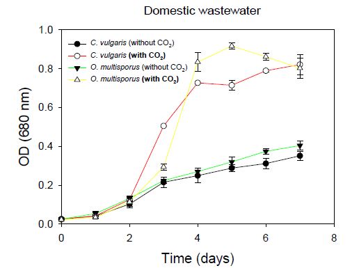 Influence of CO2 on growth curve of Ourococcus multisporus and Chlorella vulgaris cultivated in municipal wastewater
