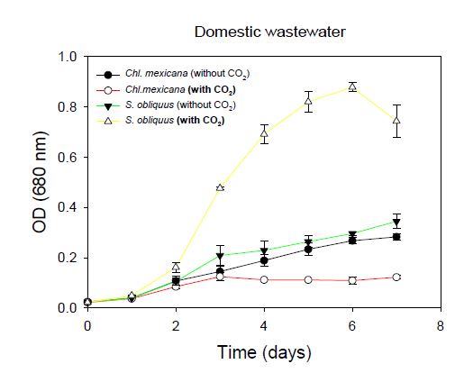 Influence of CO2 on growth curve of Scenedesmus obliquus and Chlamydomonas mexicana cultivated in municipal wastewater