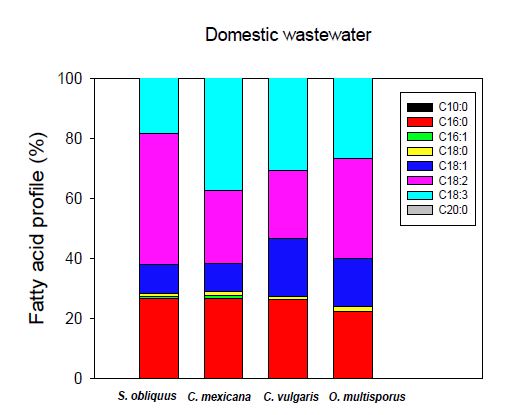 Fatty acid profile of robust microalgal species in municipal wastewater