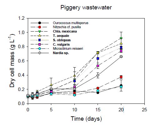 Growth curve of various microalgal species in piggery wastewater