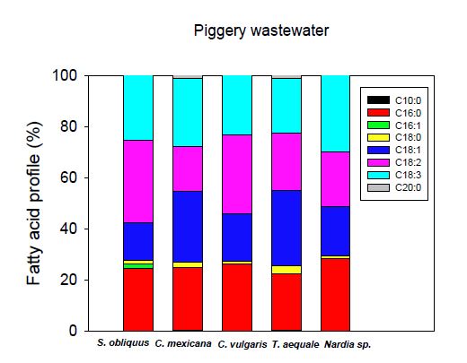 Fatty acid profile of robust microalgal species in piggery wastewater