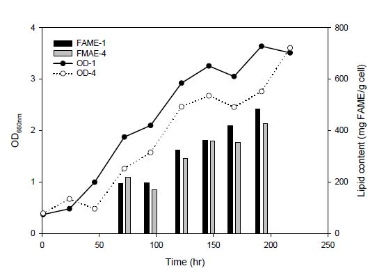 원통형 투명필름 광생물반응기에서 시간에 따른 KR-1의 균체농도 및 지질 함량 변화.