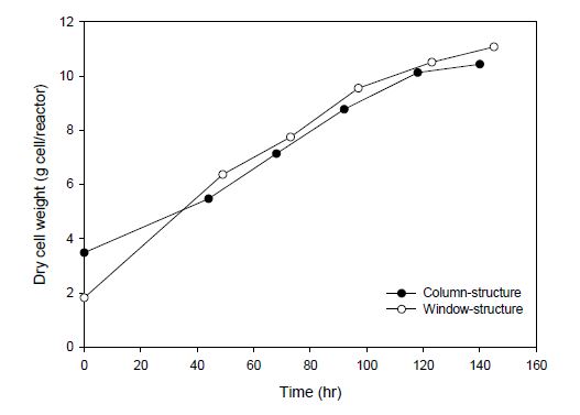 평판형 광생물반응기에 따른 반응기당 KR-1 생산량 변화