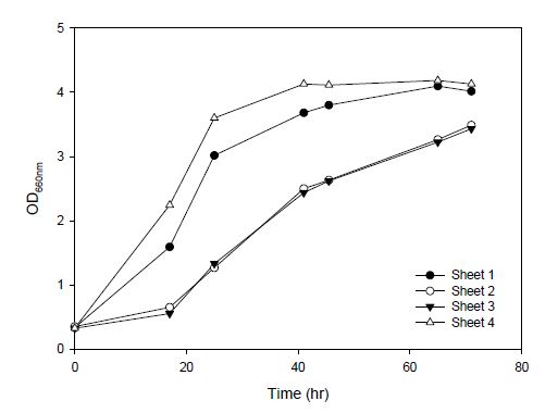 창문구조 평판형 광생물반응기 배양에서 반응기 위치에 따른 KR-1 균체 농도 변화