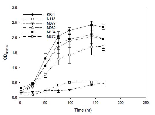 CO2 10% 조건에서 투명비닐 반응기 이용 KCTC 및 KR-1 균주 배양시 시간에 따른 균체농도 변화