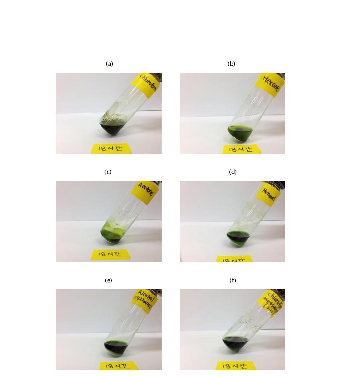 Chlorella sp. KR-1를 5% (wt/v)로 (a) chloroform, (b) n-hexane, (c) acetone, (d) methanol, (e) ethanol, (f) chloroform-methanol (2:1, v:v)에 각각 넣고