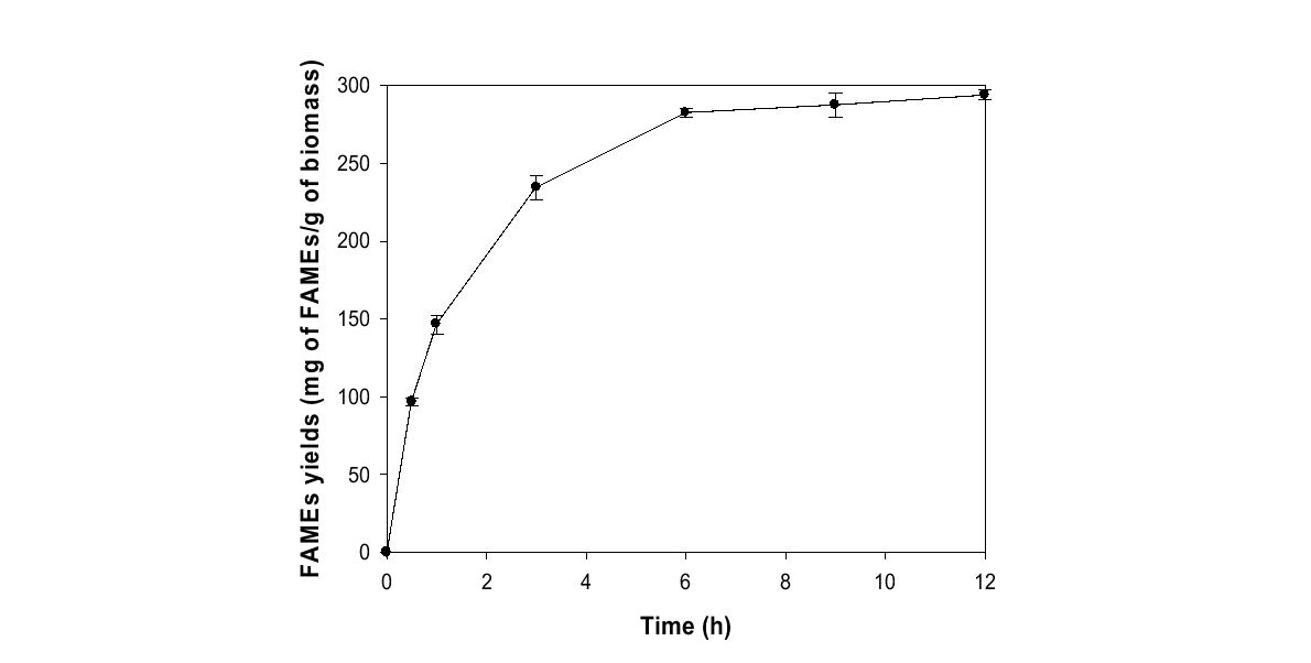 최적 조건하에서 시간에 따른 바이오디젤 합성 수율의 변화 (반응 용매; 3 mL,추출된 지질; 0.4 g, 함수율; 0.2% (v/v), 반응온도; 50℃, 생촉매량; 50% (w/w))