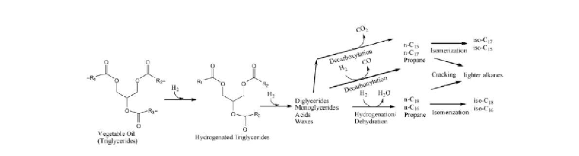 Reaction Pathway for Conversion of Tri-glycerides to Alkanes