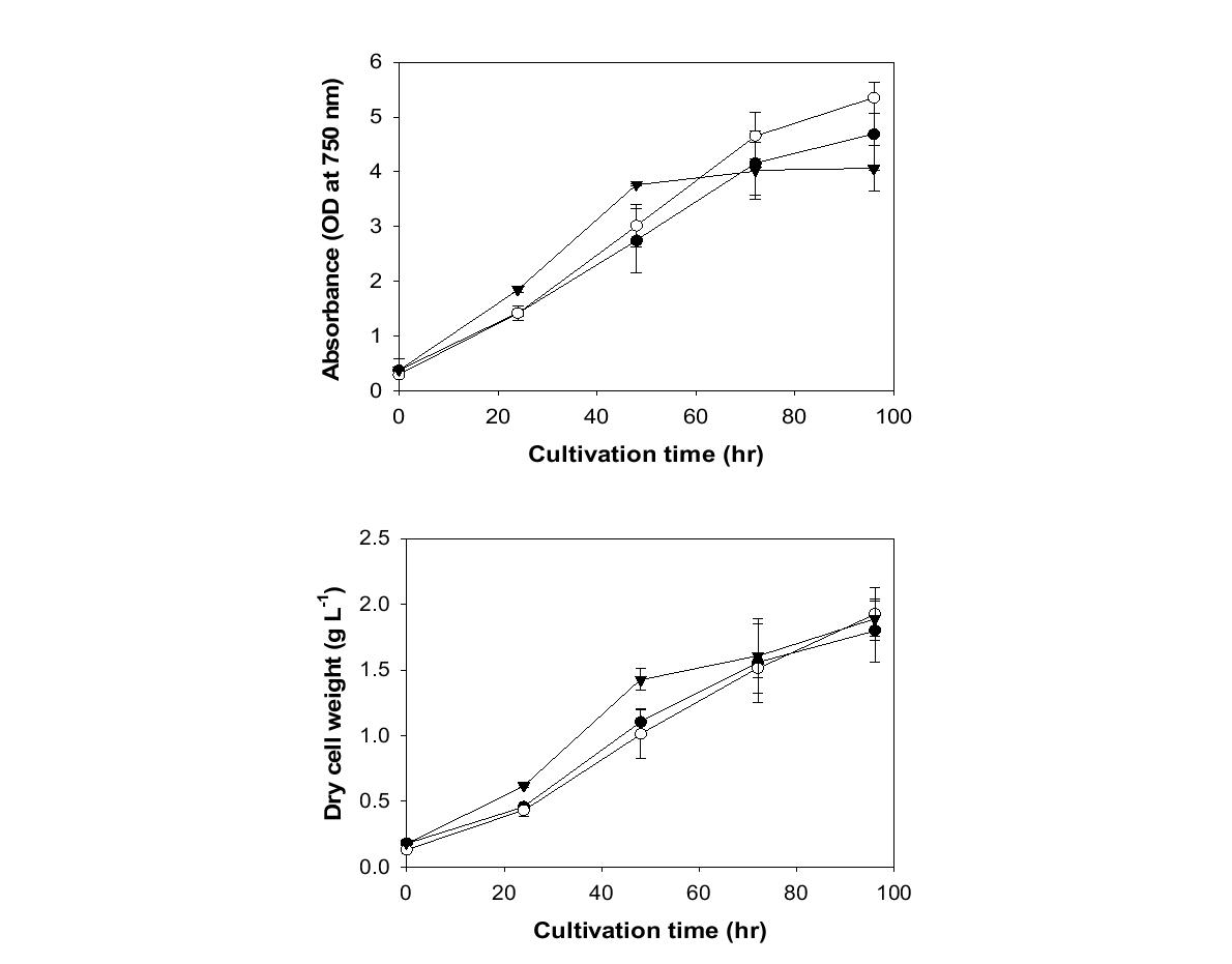 반응조 내 흡광도변화(왼쪽)와 세포건조중량 변화(오른쪽)