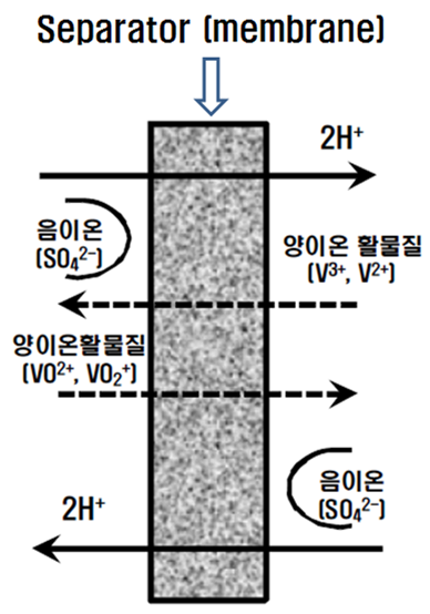 VRB에서의 이온교환막 역할 개념도