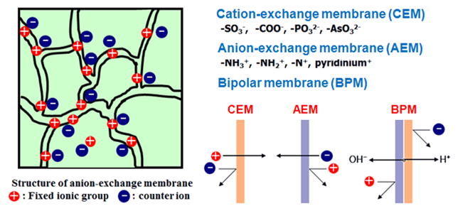 VRB에서의 이온교환막 종류별 역할 개념도