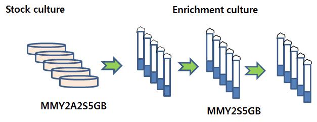 Process of enrichment culture technique