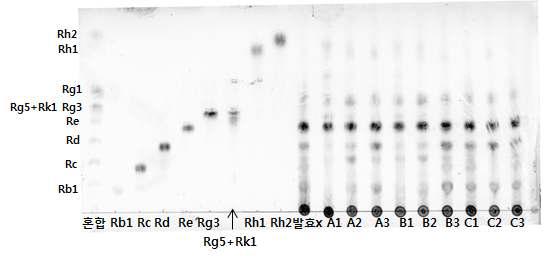 TLC chromatograms of ginsenosides of ginseng berry fermentation