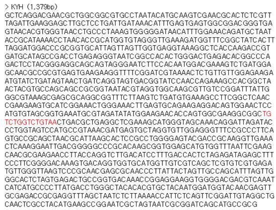 Fasta form of 16S rRNA gene sequence of strain KYH. The 16S rRNA sequence was 1274 base pair of a region corresponding to Escherichia coli positions 27-1492.