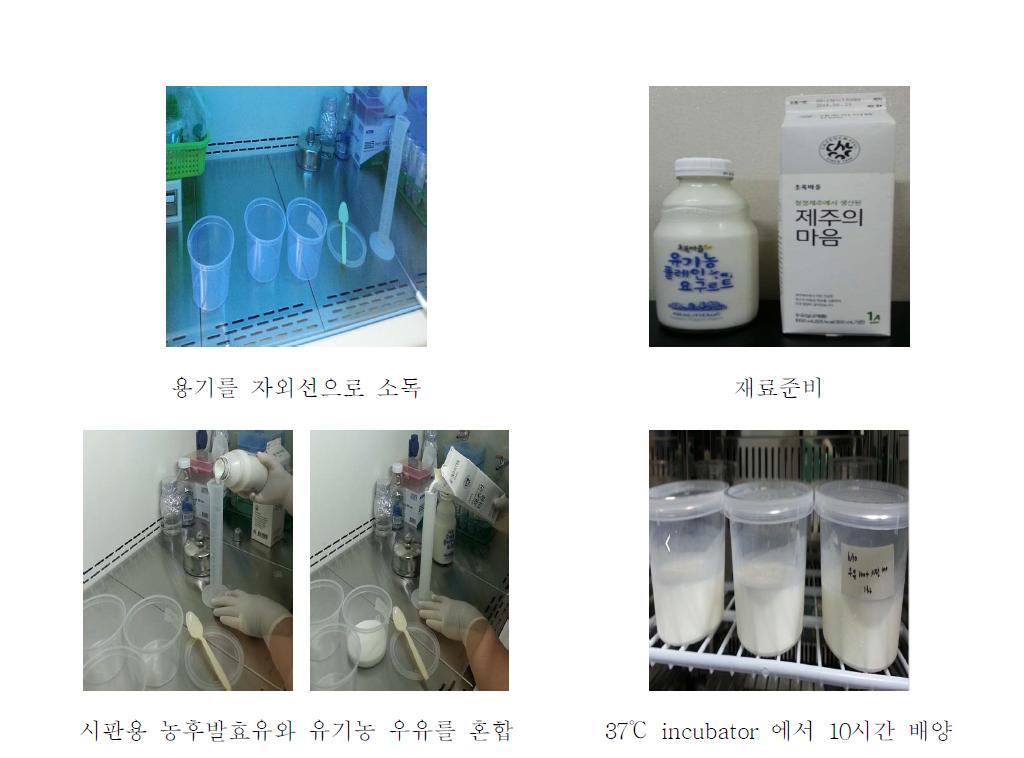 농후발효유 제조과정