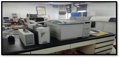 황화합물 분석장치(GC-FPD)