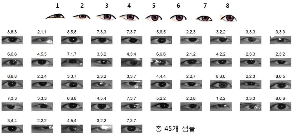 학습 및 인식에 사용될 전처리된 왼쪽 눈 영상 샘플과 VOP 패턴. 각 영상위의 번호는 3명의 디자이너들에 의해 분류된 클레스 라벨 값.