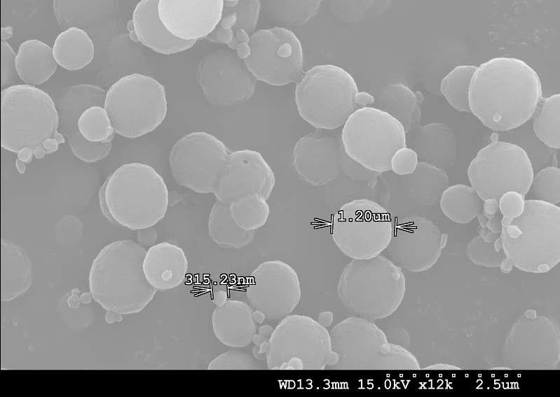 sub-micron크기의 2중벽 마이크로캡슐의 주사전자현미경(SEM)사진.