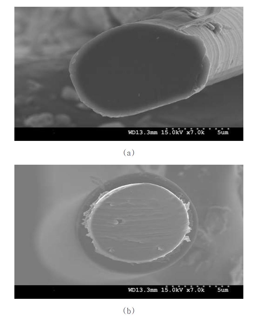 PBS와 PP를 각각 심부와 초부로 하여 제조한 심초형 복합섬유의 SEM 사진. 염색제의 처리: (a) 미처리, (b) KMnO4 수용액 처리.