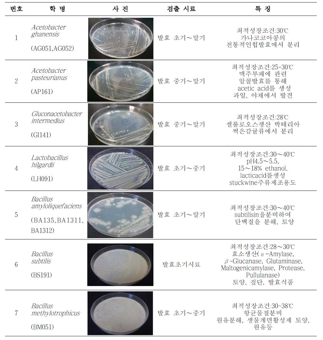 전통자연발효식초로부터 분리된 생육미생물