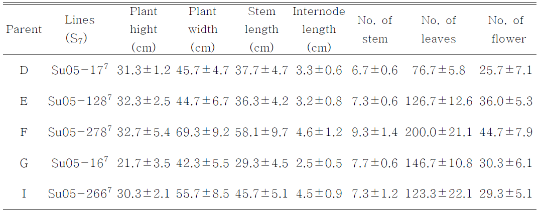 Growth and flowering characteristics of 5 parents used in diallel cross in Petunia ☓ hybrida.