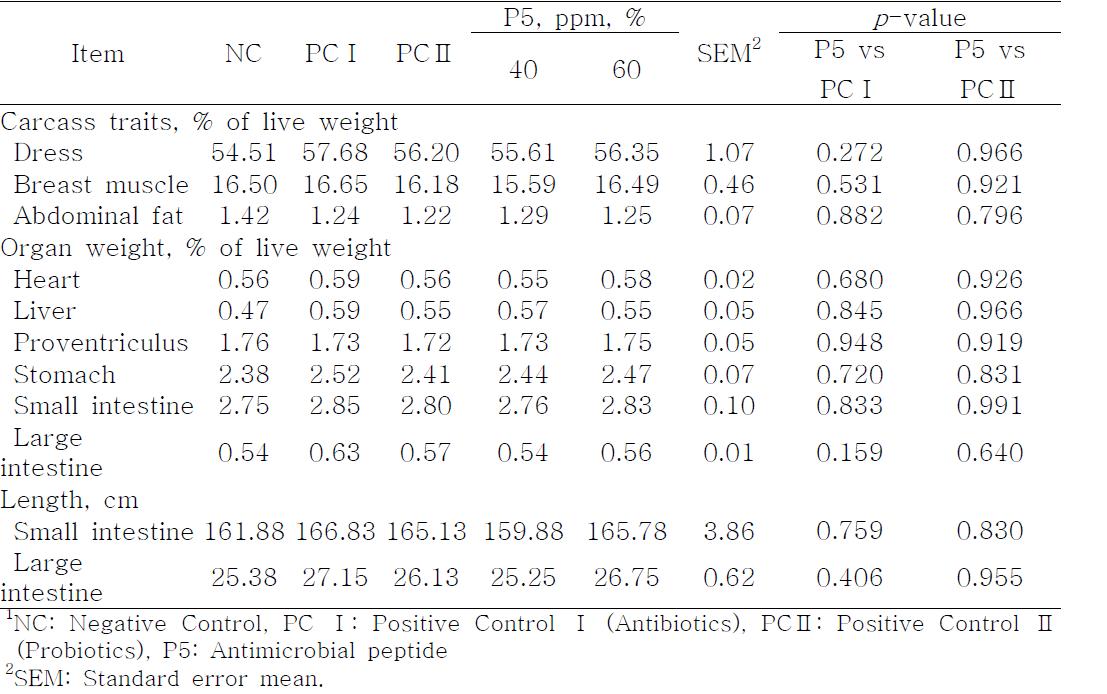 Effect of antimicrobial peptide (P5) on carcass traits, relative visceral organ weights and intestinal length in broilers