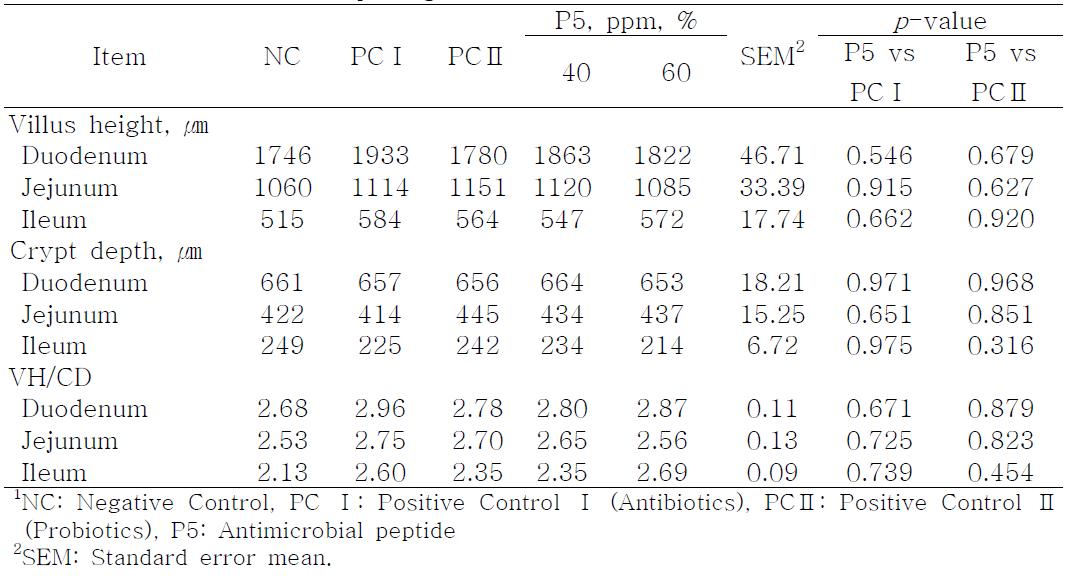Effect of antimicrobial peptide (P5) supplementation on small intestinal morphology in broilers