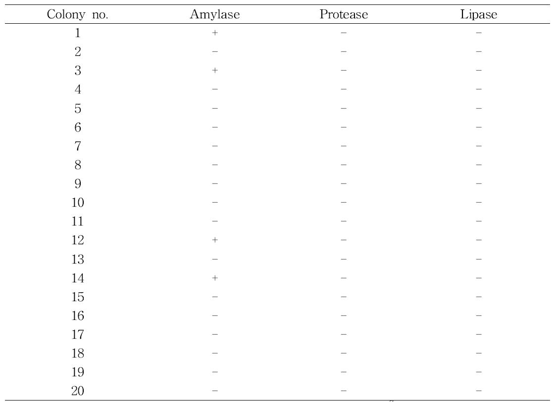 각 후보균주의 효소활성