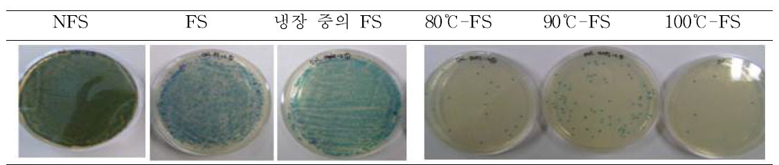 유해균에 대한 bacteriocin의 저해효과 및 살균 후의 미생물 생존