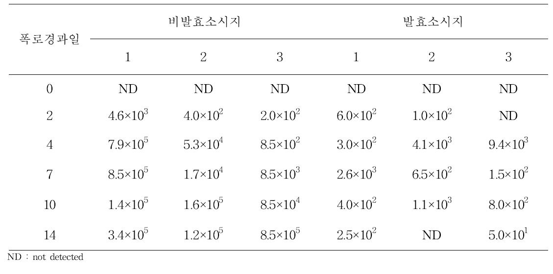 비발효소시지와 발효소시지의 폭로실험