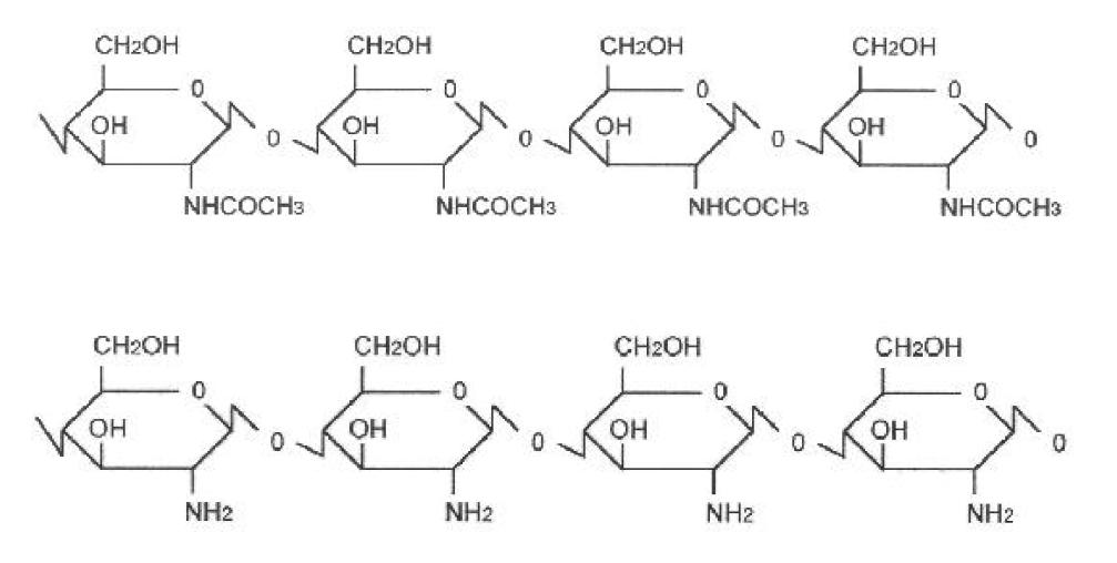 키틴(상)과 키토산(하)의 화학구조