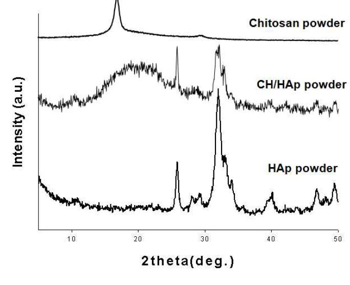 HAp, Chitosan 및 CH/HAp 복합체의 XRD 곡선