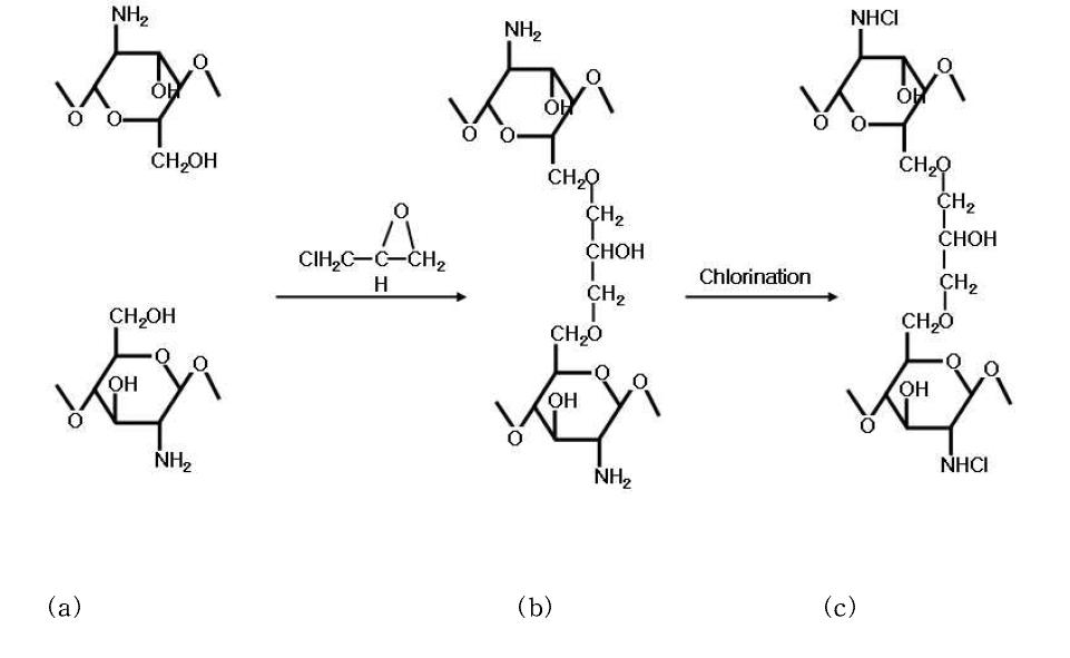 Reaction scheme for cross-linking chitosan with epichlorhydrin and chlorination.