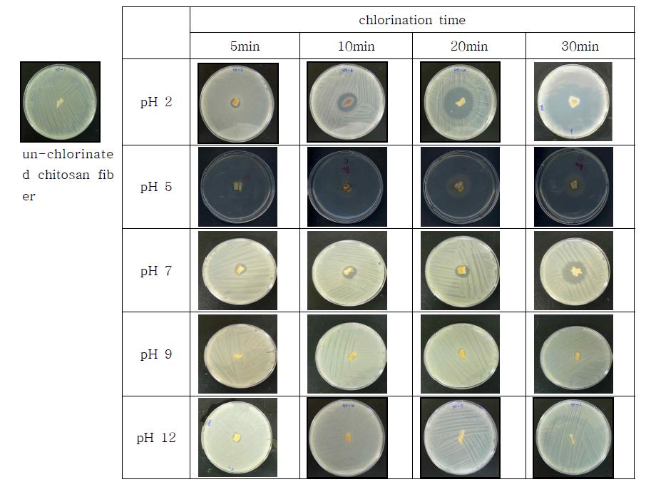 Antimicrobial properties through growth inhibition of chlorinated chitosan fibers according to pH and chlorination time against S.aureus