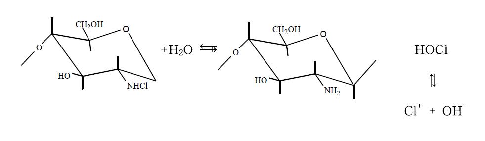 Dissociation mechanism of N-halamine made from chitosan to produce active chlorine