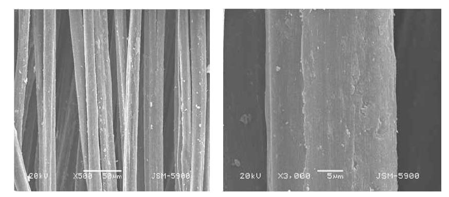 SEM micrographs of CH/HAp/Ag composite fiber.