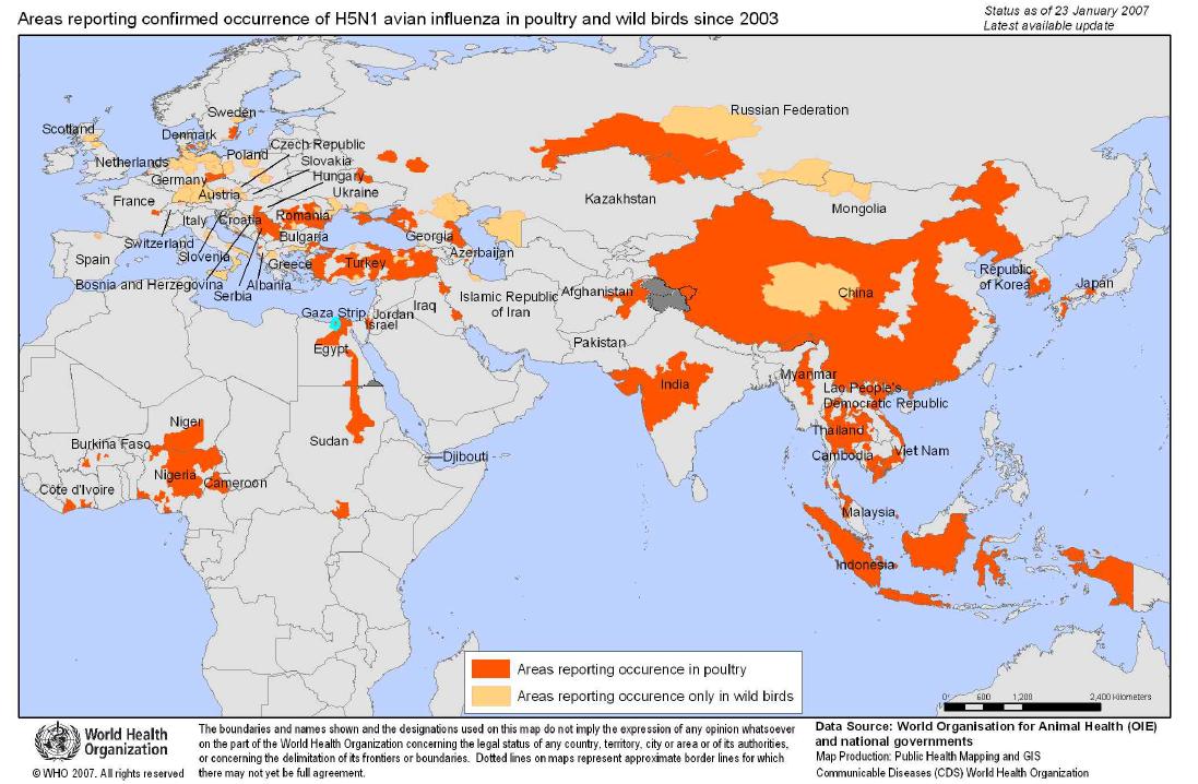 2003년～2007. 1. 23 현재 전세계 H5N1형 조류 인플루엔자 발생 현황