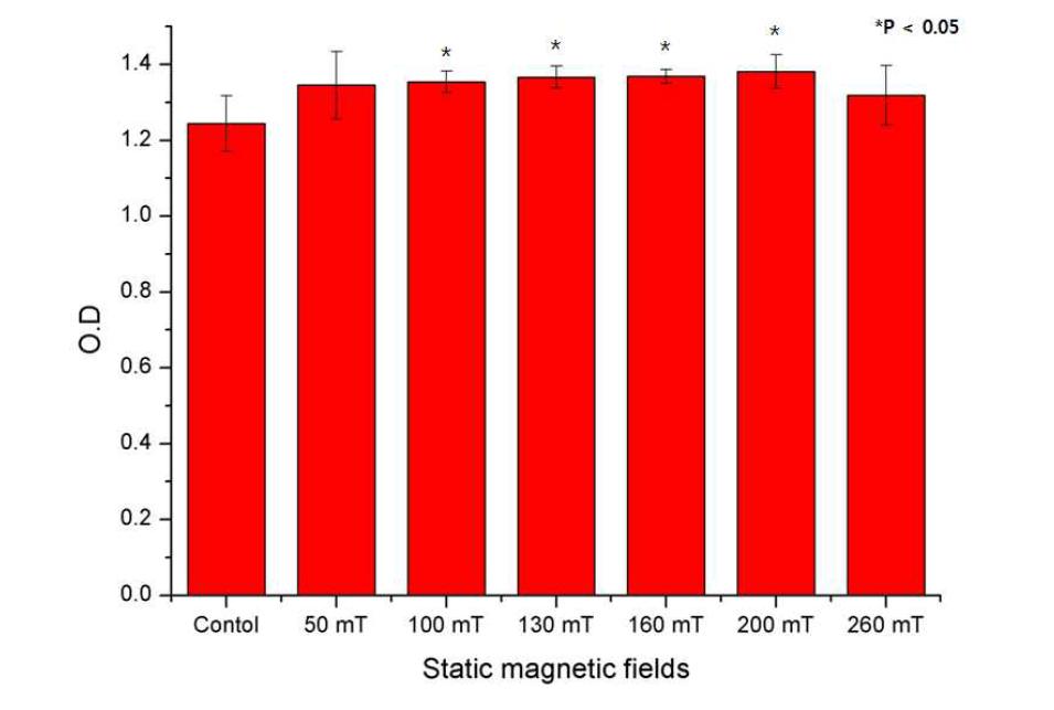 The effect of static magnetic field stimulation on the cell viability of alveolar bone marrow stem cells according to static magnetic fields in monolayer culture at two stimulations of twice-10 min/day x 3 days.