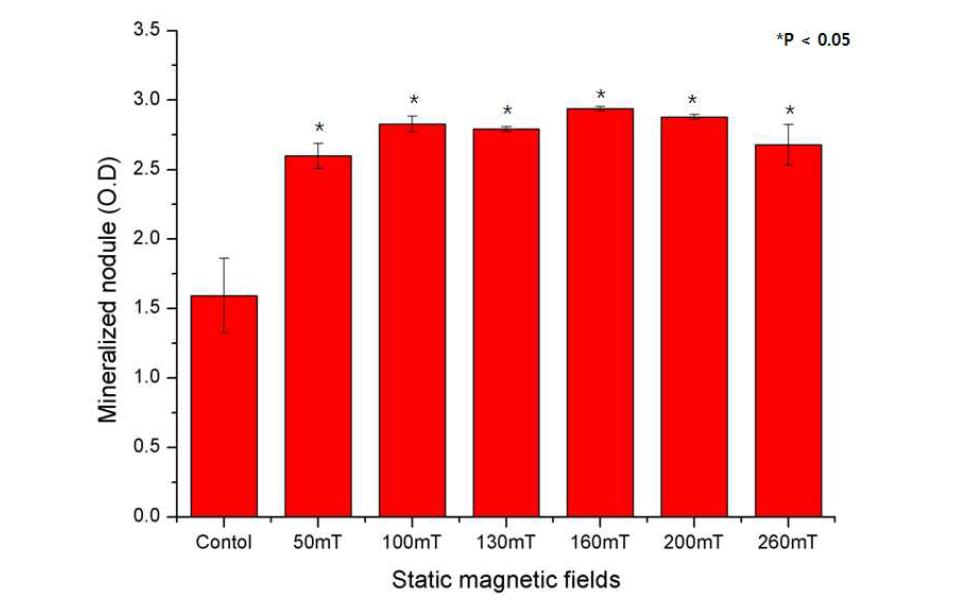 Statistical analysis of the effect of long-term static magnetic field stimulation on alveolar bone marrow stem cell differentiation under the magnetic field stimulation at a stimulation time of 10 min/day for 25 days using alizarin red staining.